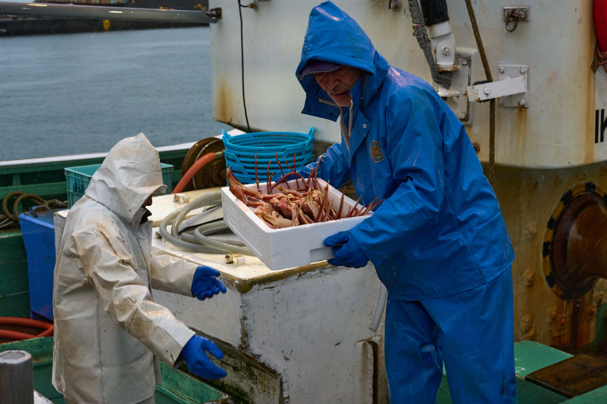 Many species of seafood are caught in the Sea of Japan