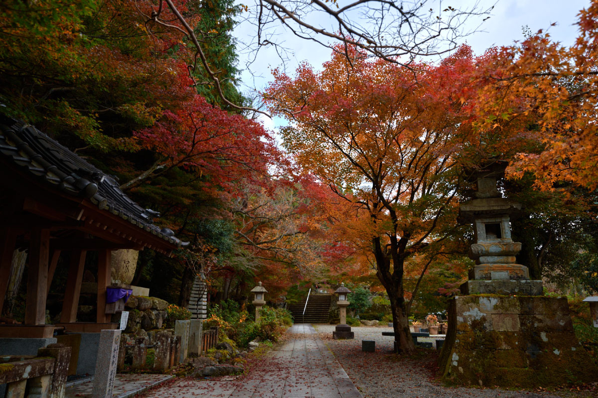 Ioji Temple in autumn 