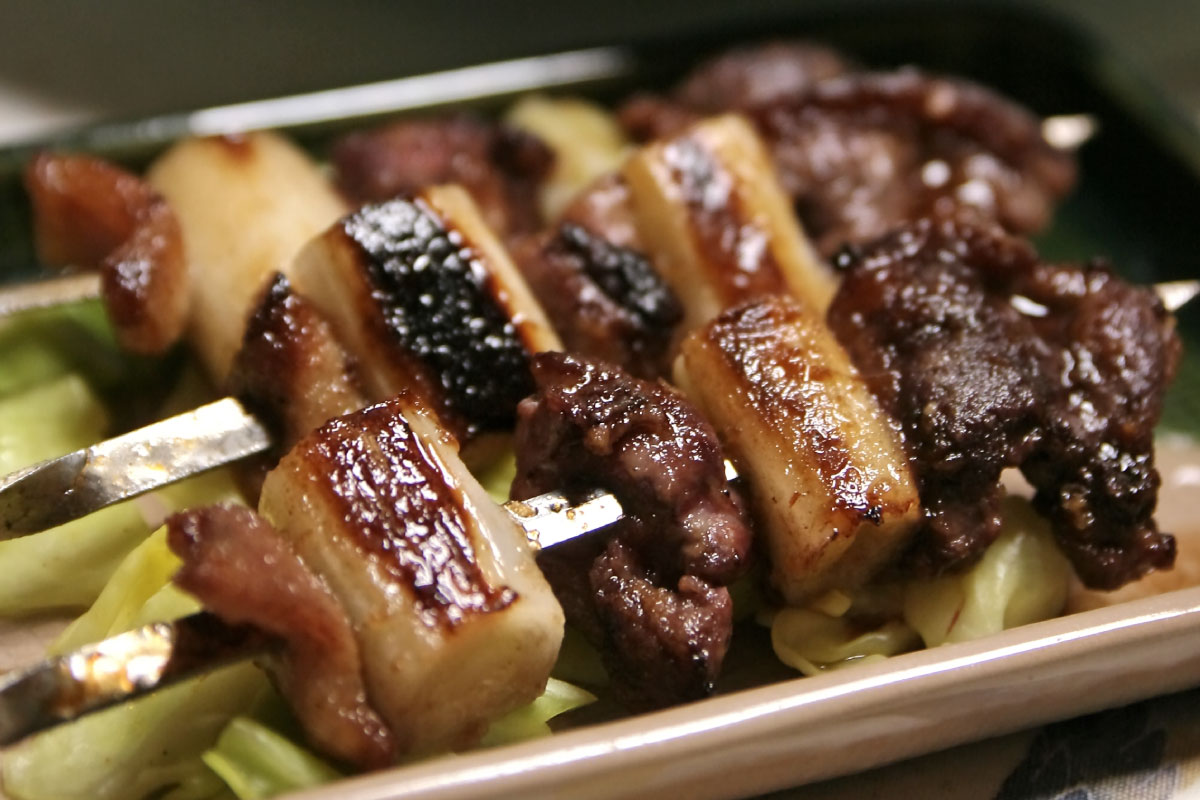 Brochettes with wild duck meat 