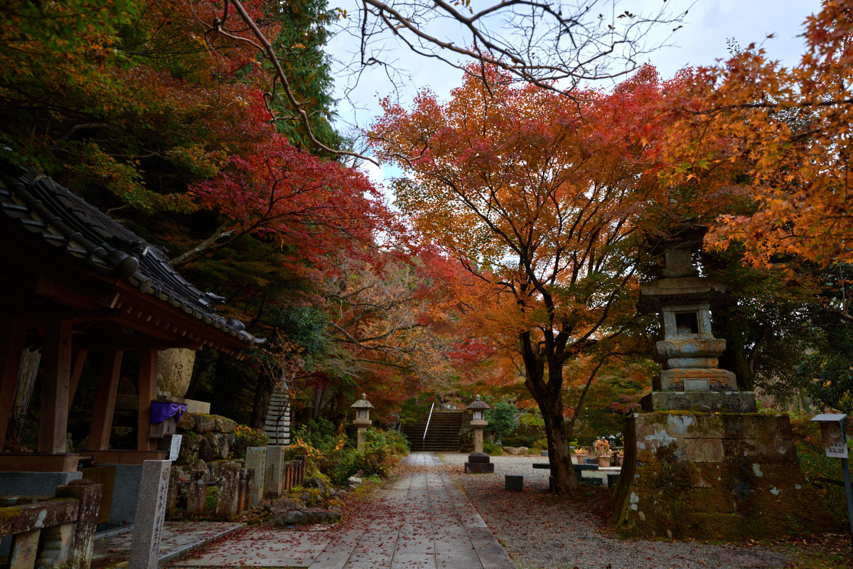 Colourful foliage at Ioji Temple in Yamanaka Onsen