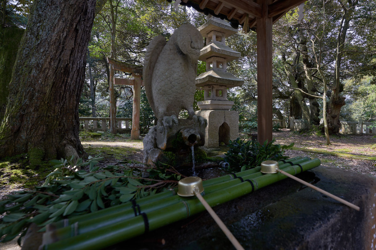 Chozu-bachi in Hatori Shrine