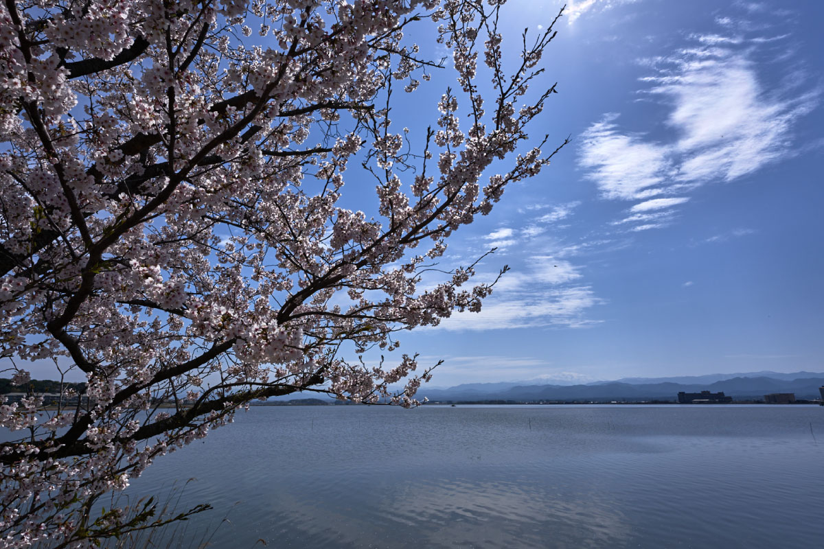 Lake Shibayama in Spring season